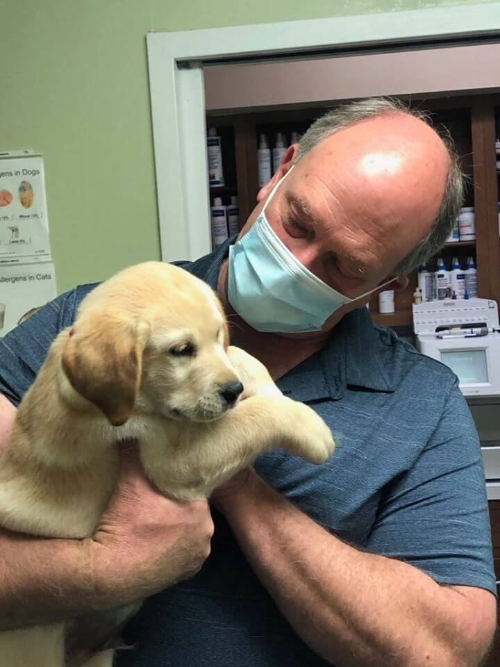 Puppy vet services at Johnson Animal Clinic