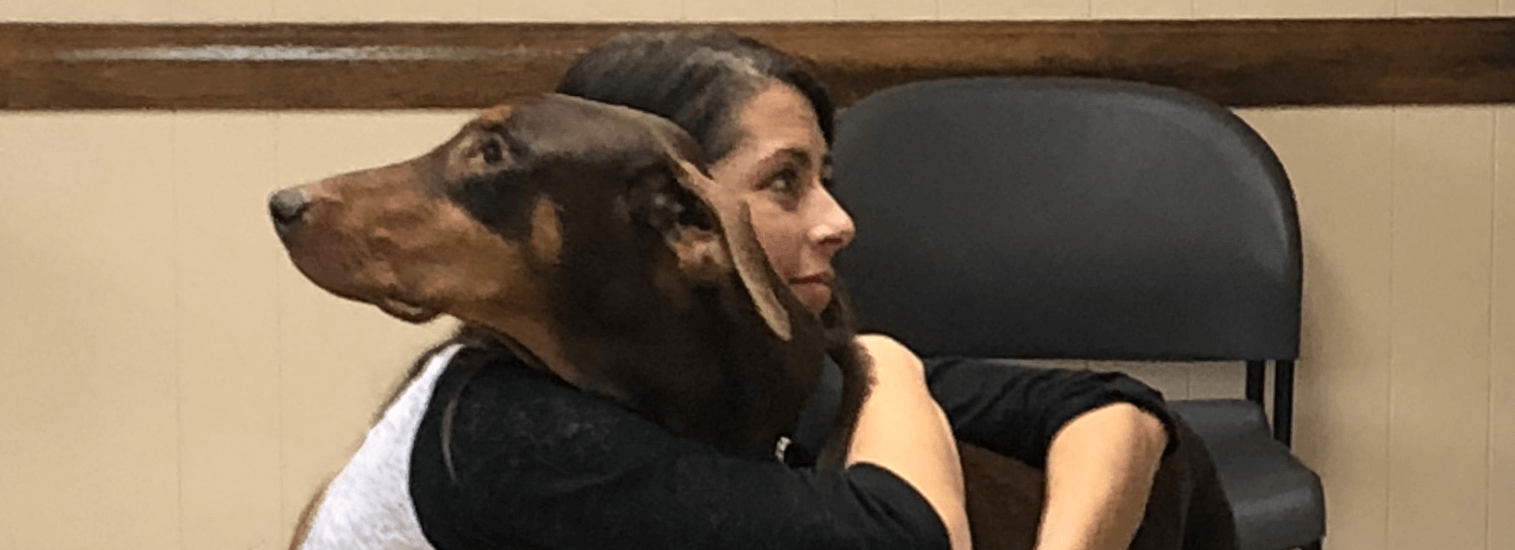 Top Rated Local Veterinarians Johnson Animal Clinic