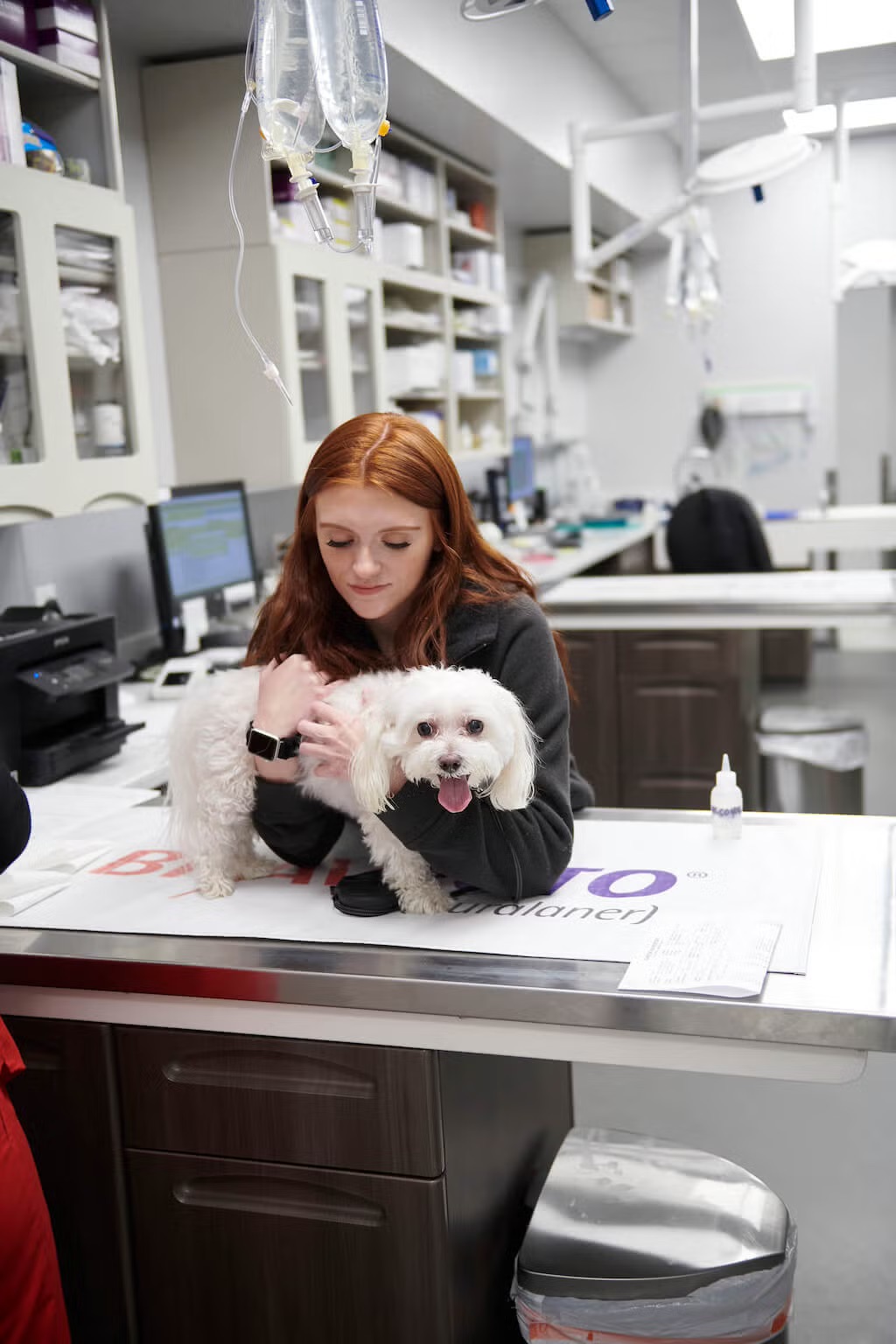 Dog pain treated at Johnson Animal Clinic