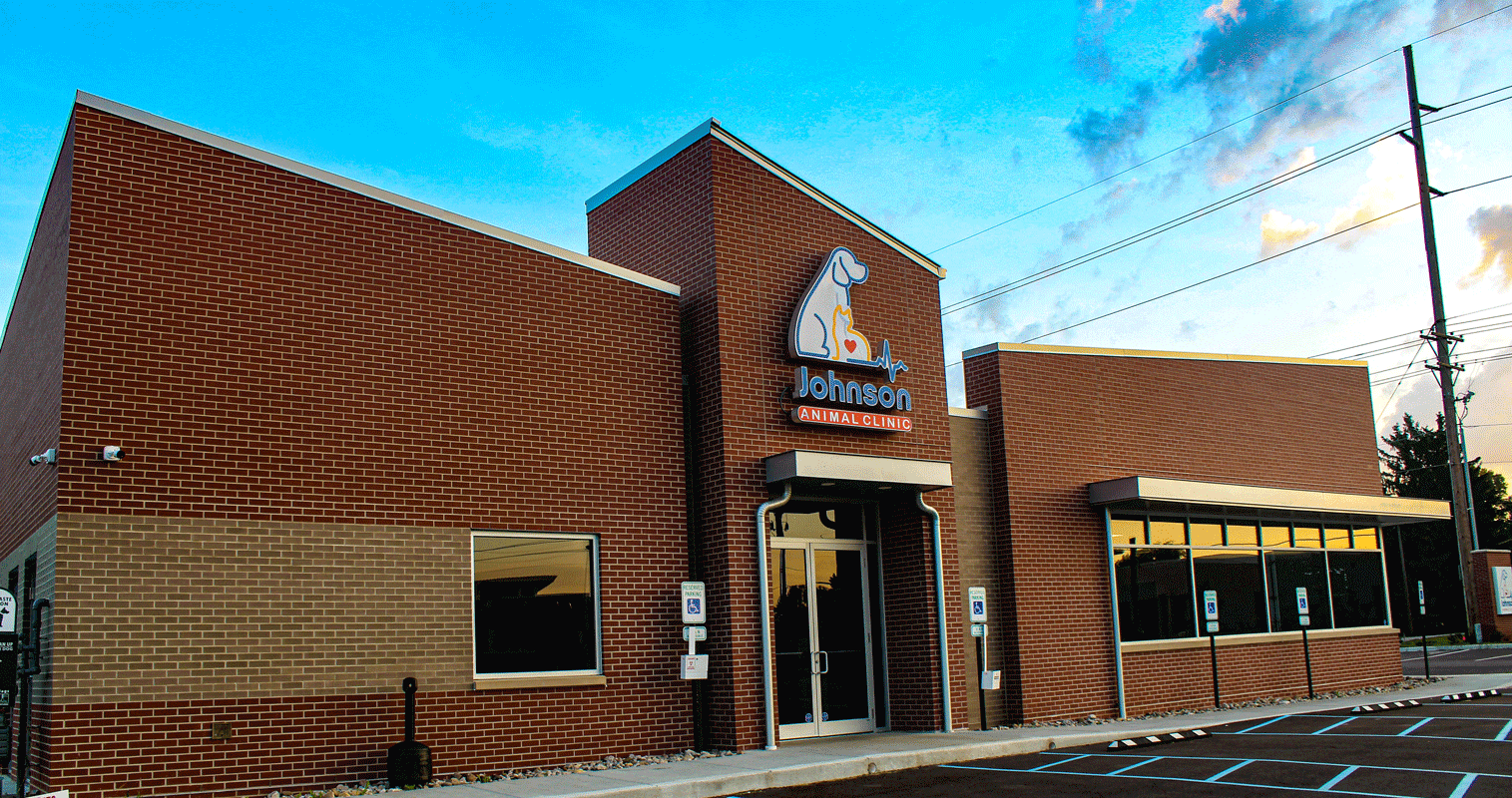 louisville kentucky veterinarians