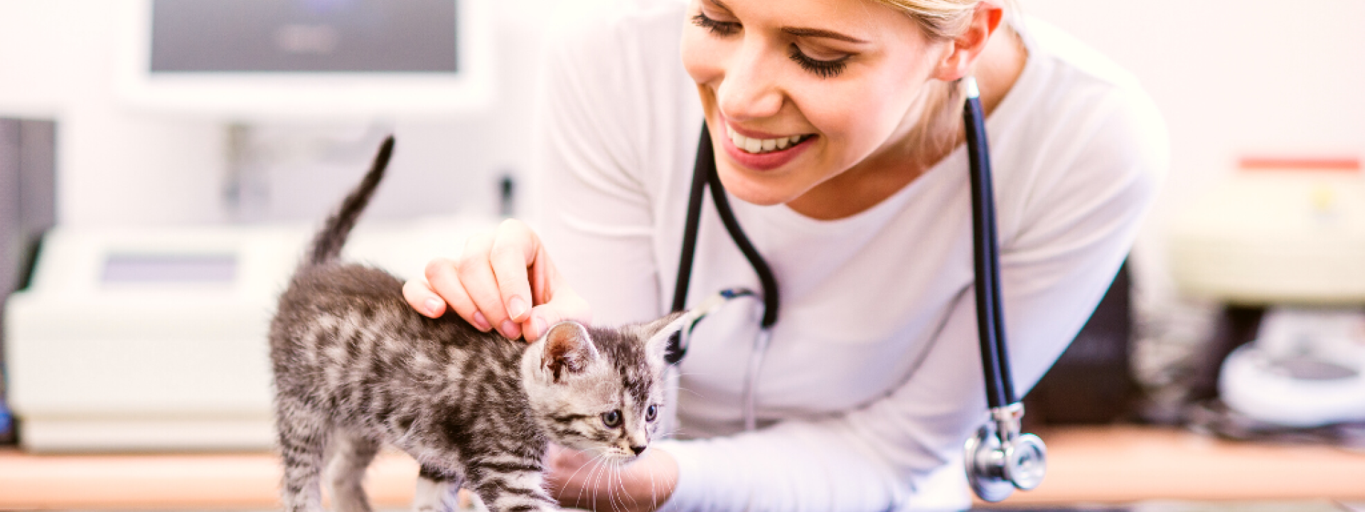 how-to-find-the-best-veterinarian-hero-1.png