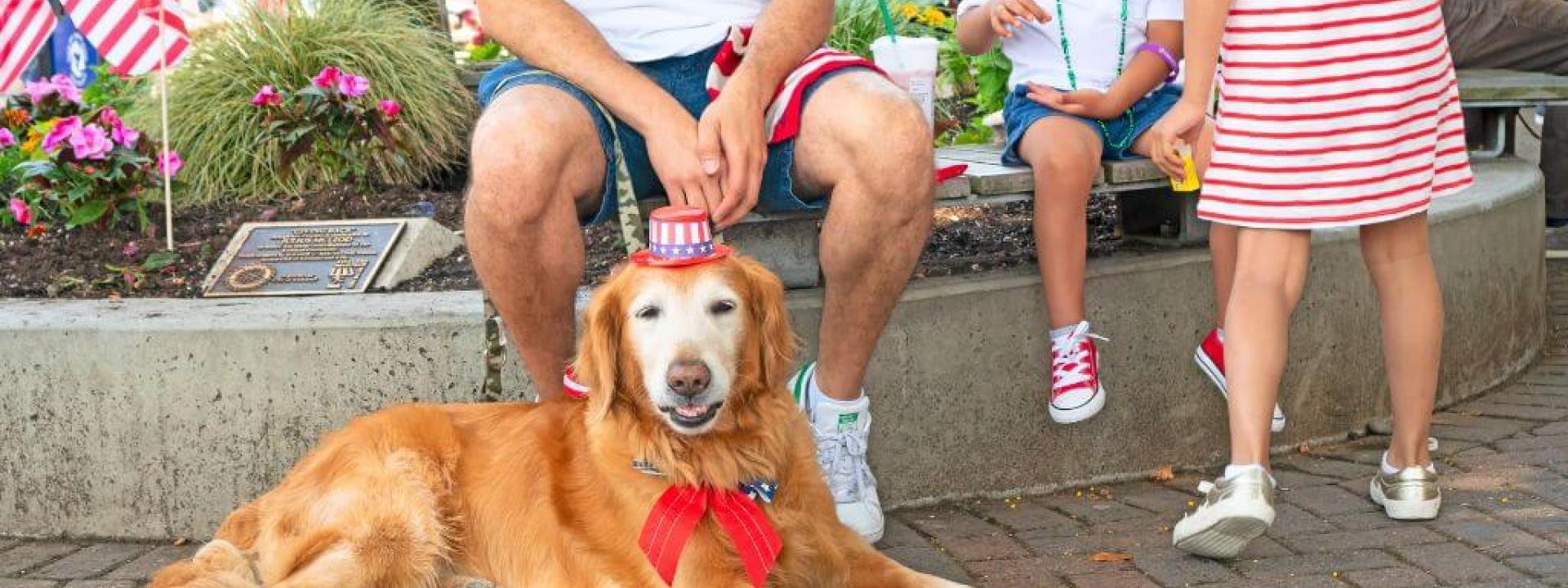 pet-safety-fourth-july.jpg