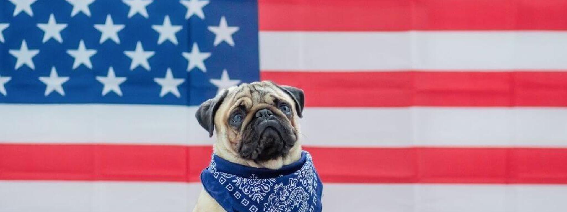 presidential-pets.jpg