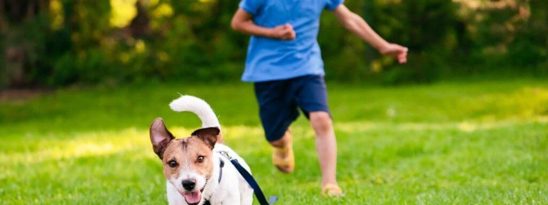 prevent-dog-bites-kids.jpg