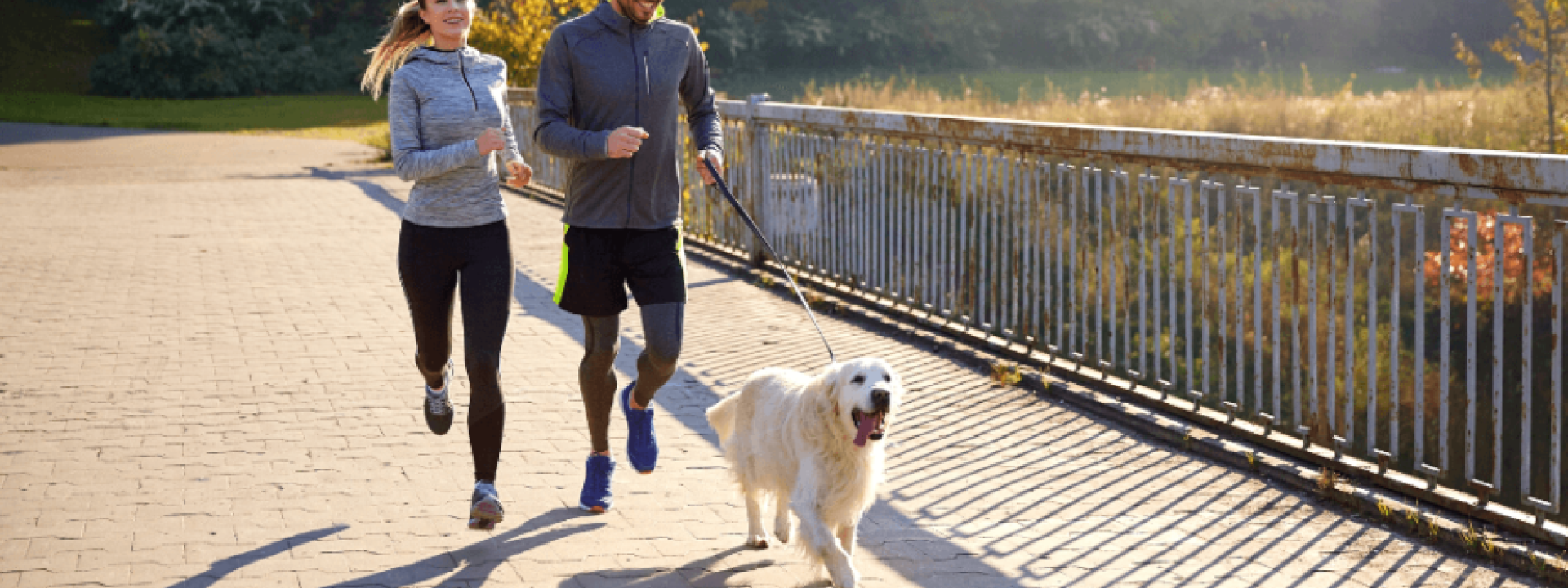 the-best-dog-breeds-for-runners-hero-1.png